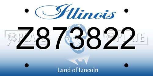 Z873822 Illinois License Plate