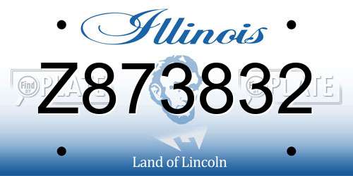 Z873832 Illinois License Plate