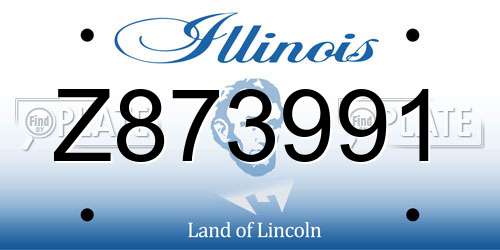 Z873991 Illinois License Plate