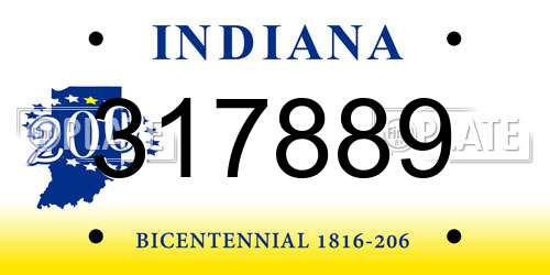317889 Indiana License Plate