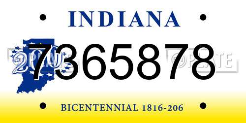 7365878 Indiana License Plate