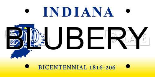 BLUBERY Indiana License Plate