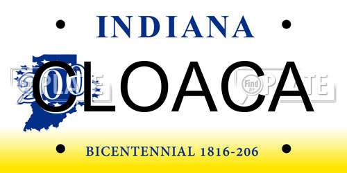 CLOACA Indiana License Plate