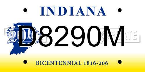 D8290M Indiana License Plate