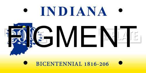 FIGMENT Indiana License Plate
