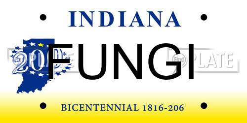 FUNGI Indiana License Plate