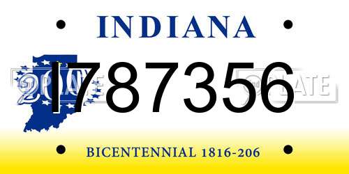 I787356 Indiana License Plate