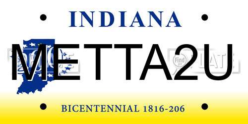 METTA2U Indiana License Plate