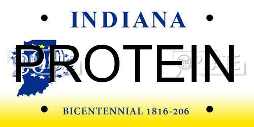 PROTEIN Indiana License Plate