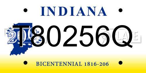 T80256Q Indiana License Plate