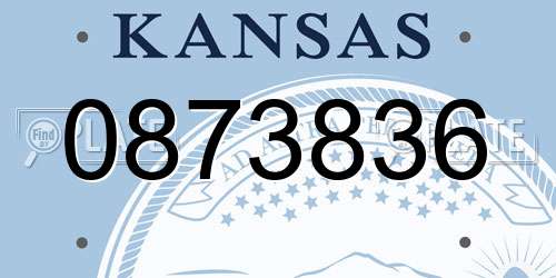 0873836 Kansas License Plate