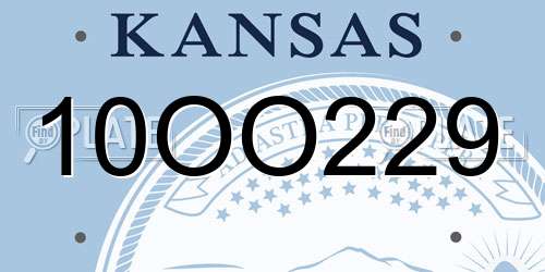 10OO229 Kansas License Plate