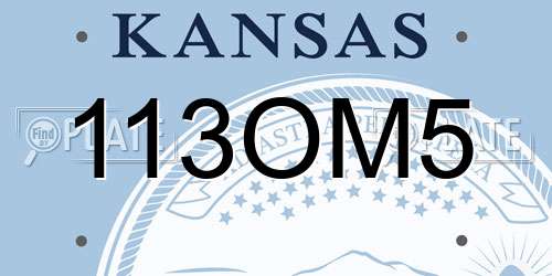 113OM5 Kansas License Plate