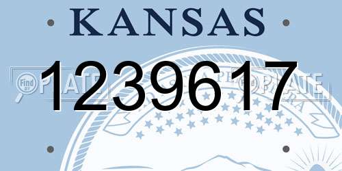 1239617 Kansas License Plate