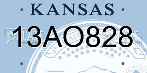 13AO828 Kansas License Plate