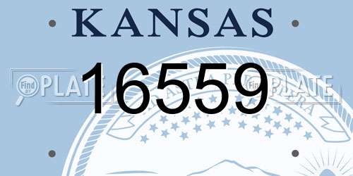 16559 Kansas License Plate