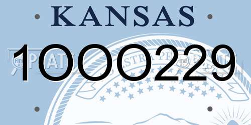 1OOO229 Kansas License Plate
