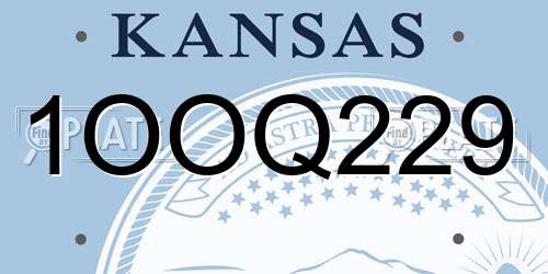 1OOQ229 Kansas License Plate