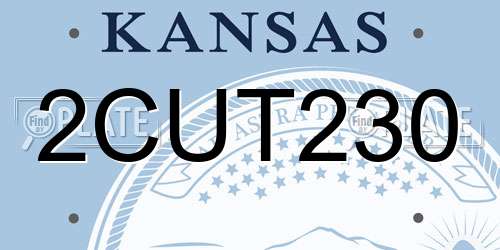 2CUT230 Kansas License Plate