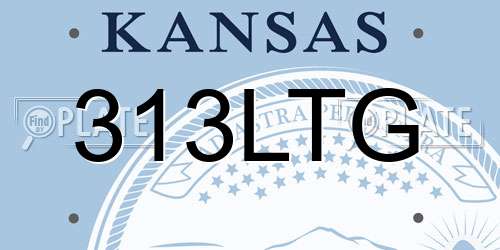313LTG Kansas License Plate
