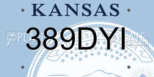 389DYI Kansas License Plate