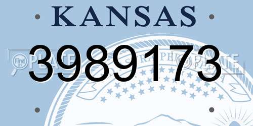 3989173 Kansas License Plate