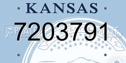 7203791 Kansas License Plate