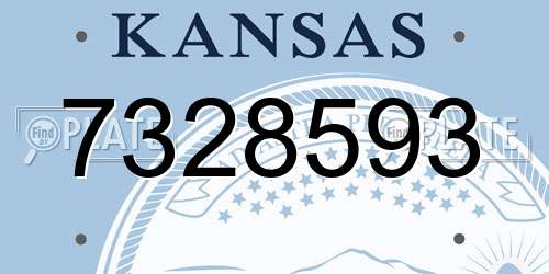 7328593 Kansas License Plate