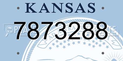 7873288 Kansas License Plate