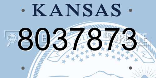8037873 Kansas License Plate