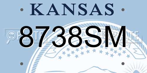 8738SM Kansas License Plate