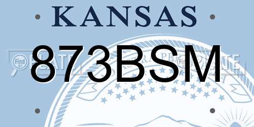 873BSM Kansas License Plate