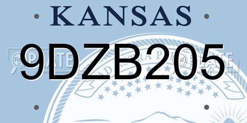 9DZB205 Kansas License Plate