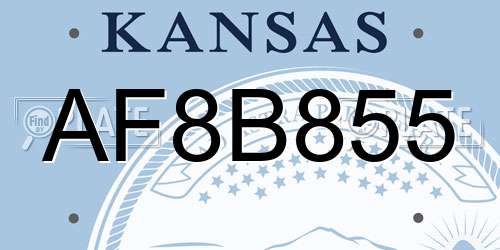 AF8B855 Kansas License Plate