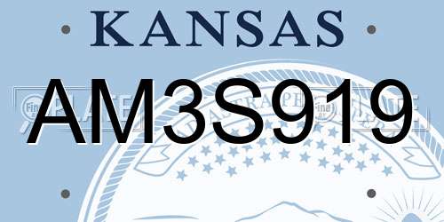 AM3S919 Kansas License Plate