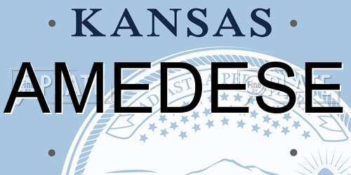 AMEDESE Kansas License Plate