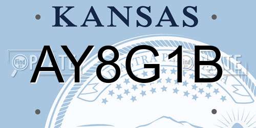 AY8G1B Kansas License Plate