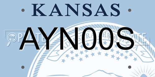 AYN00S Kansas License Plate