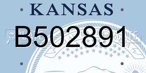 B502891 Kansas License Plate