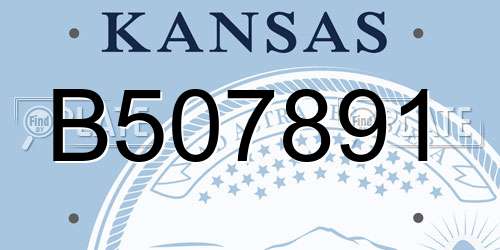 B507891 Kansas License Plate