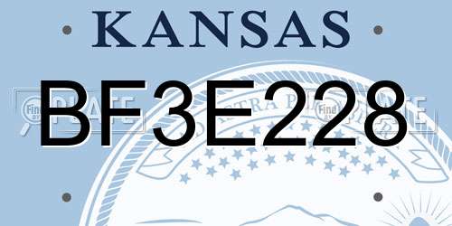 BF3E228 Kansas License Plate