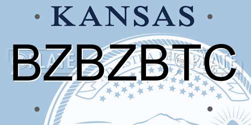 BZBZBTC Kansas License Plate