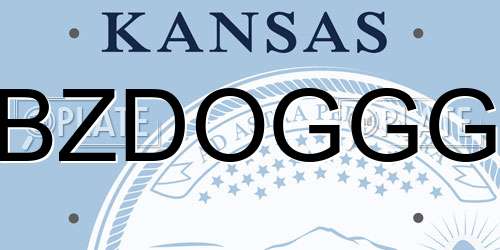 BZDOGGG Kansas License Plate