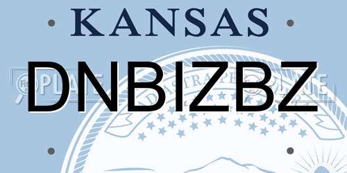DNBIZBZ Kansas License Plate