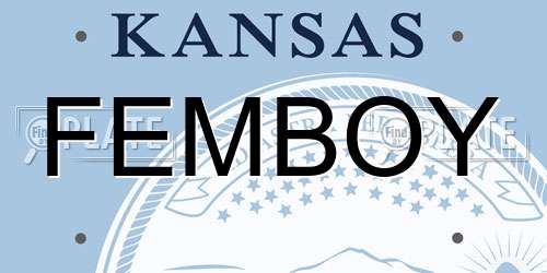 FEMBOY Kansas License Plate