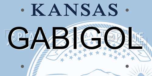 GABIGOL Kansas License Plate
