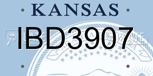 IBD3907 Kansas License Plate