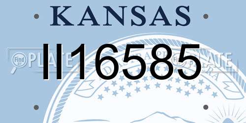 II16585 Kansas License Plate