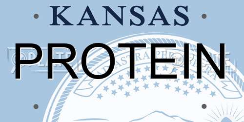 PROTEIN Kansas License Plate