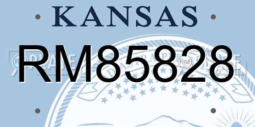 RM85828 Kansas License Plate